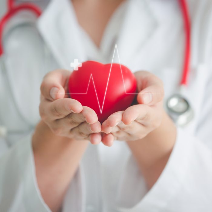 Doctor holding heart
