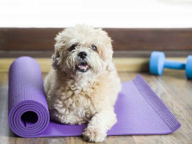Why You Need to Vary Your Workout