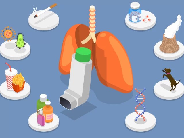 The Top Triggers That Set Off Asthma Attacks