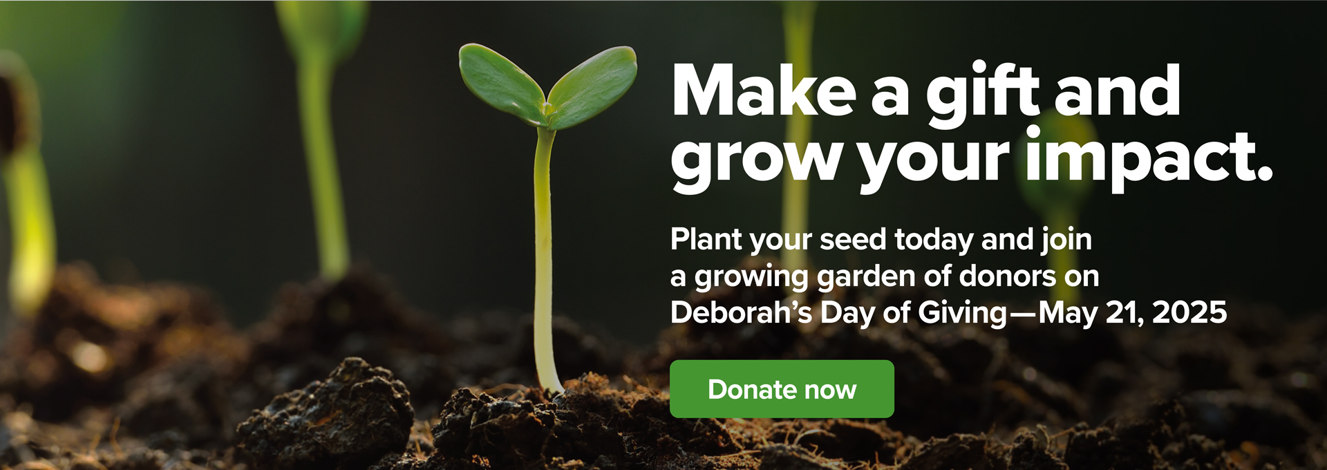 banner with an image of a seedling in soil that says 'make a gift and grow your impact'